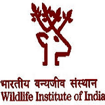 WII Notification 2019 – Openings for Various Project Assistant Posts