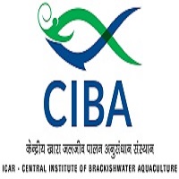 CIBA Notification 2021 – Opening for Various SRF/Young Professional Posts