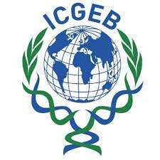 ICGEB Notification 2021 – Opening for Various Research Associate Posts