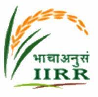 ICAR – IIRR Notification 2020 – Opening for Various Project Associate Posts