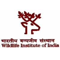 WII Notification 2020 – Openings for Various Assistant Posts
