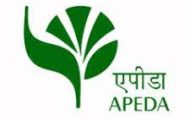 APEDA Notification 2021 – Opening for 29 Young Professional Posts