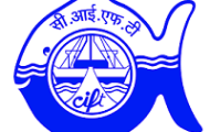 CIFT Notification 2022 – Opening for Various Young Professional–I Posts
