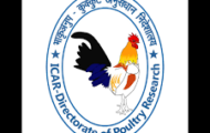ICAR-DPR Notification 2022 – Opening for 11 Assistant Posts