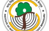 IWST Notification 2022 – Opening for 13 JRF Posts