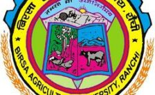 Birsa Agricultural University Notification 2023 – Opening for 134 Plumber Posts | Walk-in-Interview