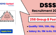 DSSSB Notification 2023 – Opening for 258 Group B Posts | Apply Online