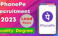 PhonePe Notification 2023 – Opening for Various Lead Posts | Apply Online