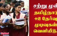 TN HSC Result 2023 – 12th Public Results Released | Download Now