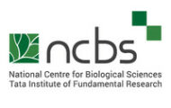 NCBS Notification 2023 – Opening for Various Associate Posts | Apply Online