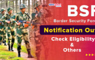 BSF Recruitment 2024: Check Eligibility Criteria for 82 Sub-Inspector Posts