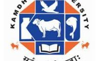 Kamdhenu University Recruitment 2024: Eligibility and Application Details for 119 Principal Posts