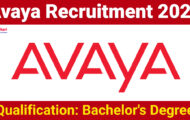 Avaya Recruitment 2024: Details For Various Senior Consultant Posts