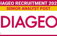 Diageo Recruitment 2024: Explore Exciting Opportunities for Senior Analyst Post