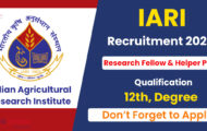 IARI Recruitment 2024: Email Application Details for Senior Research Fellow, Skilled Helper Posts