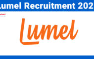 Lumel Recruitment 2024: Opportunities For Various WordPress Developer Posts