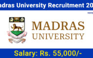 Madras University Recruitment 2024 – Opportunities For Various Post Doctoral Fellow Posts
