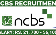 NCBS Recruitment 2024: Exciting Opportunities for 11 Clerk(A) Posts