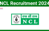 NCL Recruitment 2024: Qualifications and Application Process Revealed for Various Project Associate-I Posts