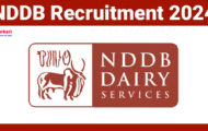 NDDB Recruitment 2024: Online Application For Various Trainee Posts