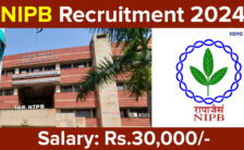 NIPB Recruitment 2024: Opportunities for Various Young Professional- I Posts