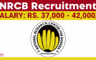 NRCB Recruitment 2024: Details For Various JRF and Young Professional-II Posts