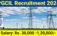 PGCIL Recruitment 2024: Opportunities Open for 12 Professional Posts
