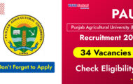 PAU Recruitment 2024: Seize Opportunities at the Walk-In-Interview for 34 Field Facilitator Posts