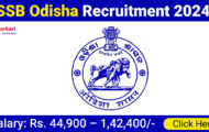 SSB Odisha Recruitment 2024: Exciting Opportunities for 786 Lecturer Post