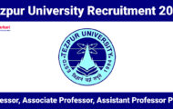 Tezpur University Recruitment 2024: Eligibility and Application Details for 40 Professor Posts