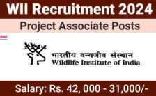 WII Recruitment 2024: Explore The Details About Various Project Associate Posts