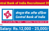 Central Bank of India Recruitment 2024: New Notification Out for Office Assistant Posts