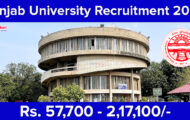 Panjab University Recruitment 2024: Vacancy Details and Selection Process for 25 Assistant Professor Posts